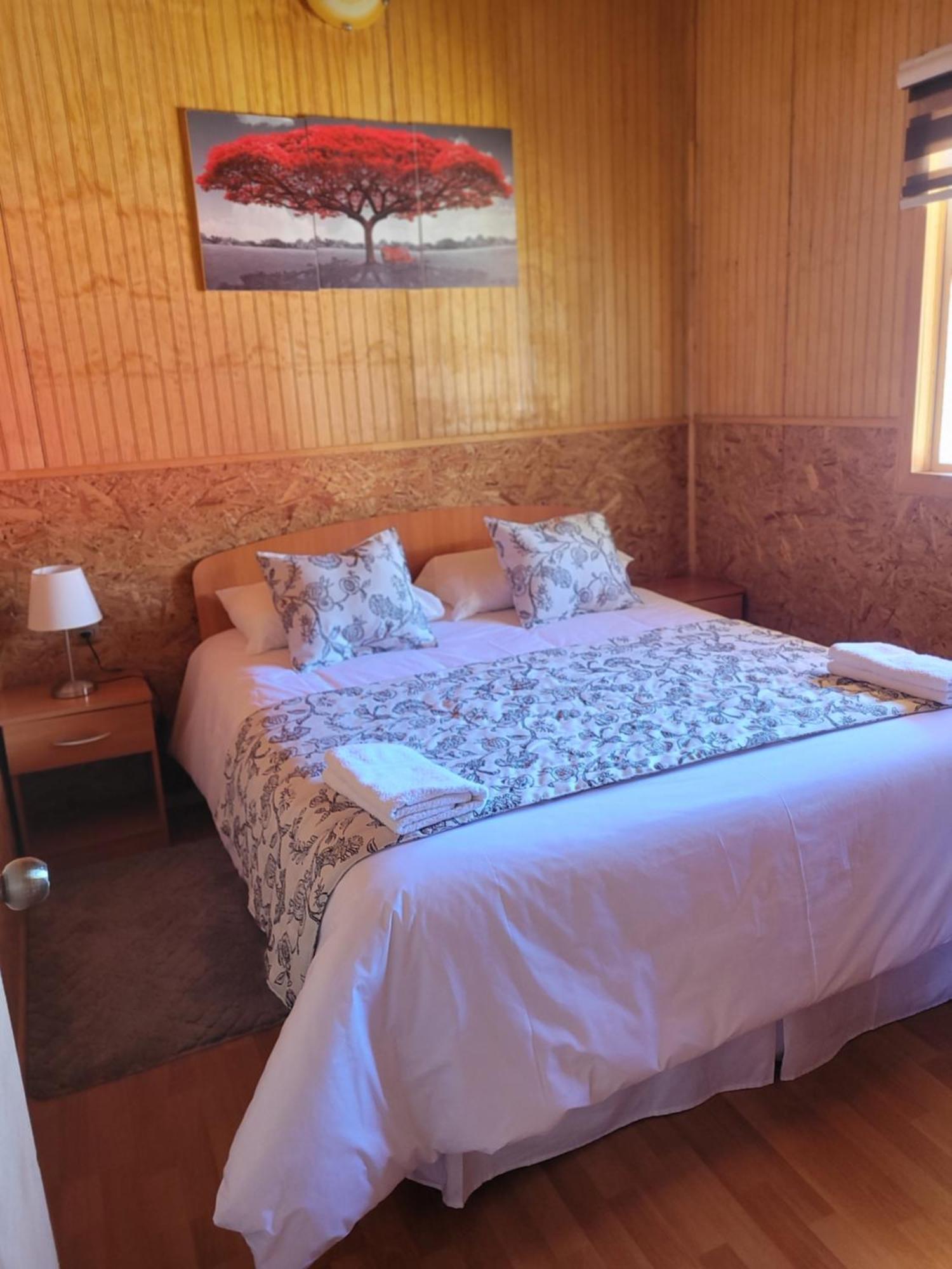 Cabanas Vientos Del Sur En Puerto Puyuhuapi Aysen Eksteriør billede